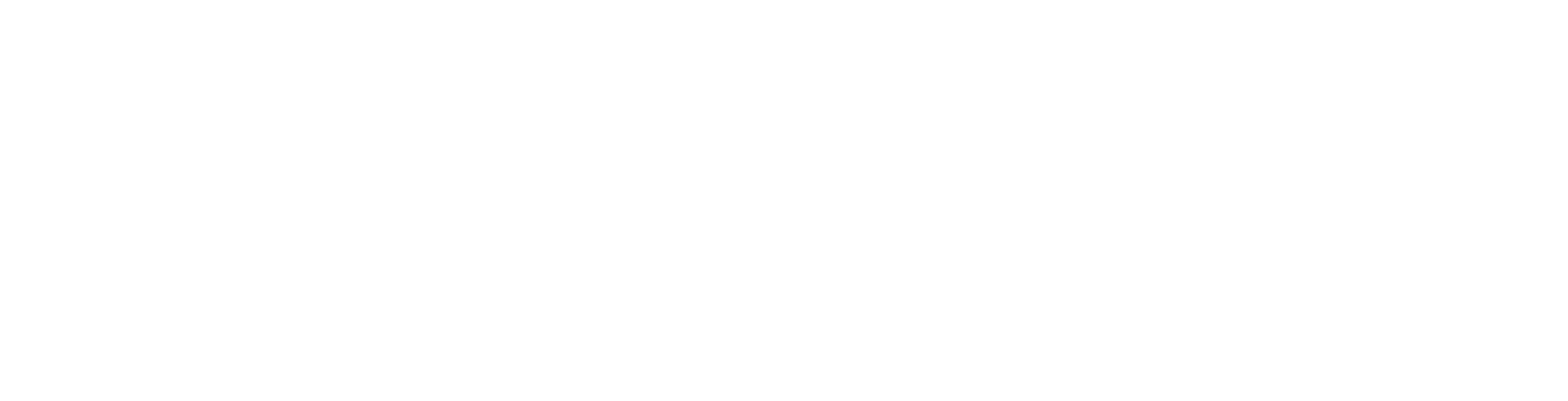 OpticFlair